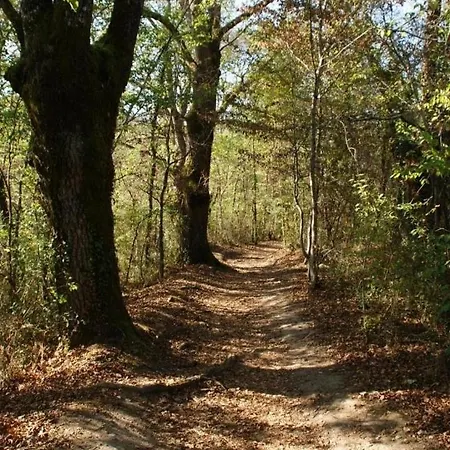 De La Gartempe : La Barlotiere Nyaraló *