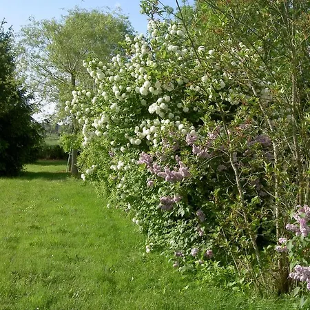 86g706 * Lathus-Saint-Remy
