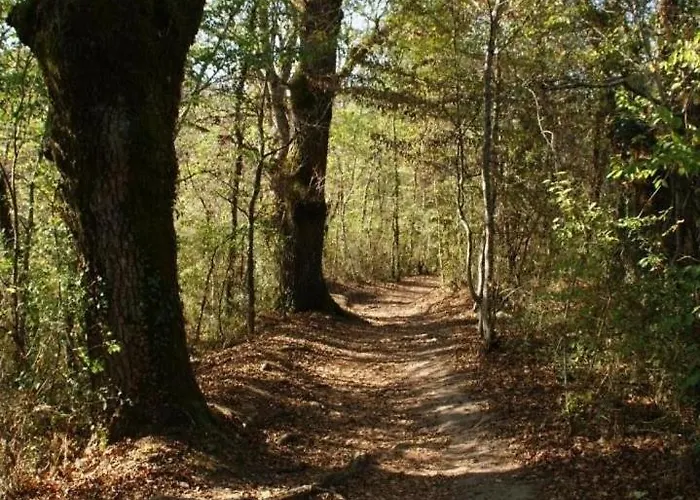 De La Gartempe : La Barlotiere Сasa de vacaciones *