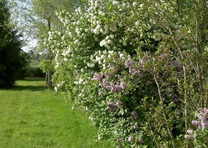 De La Gartempe : La Barlotiere * Lathus-Saint-Remy